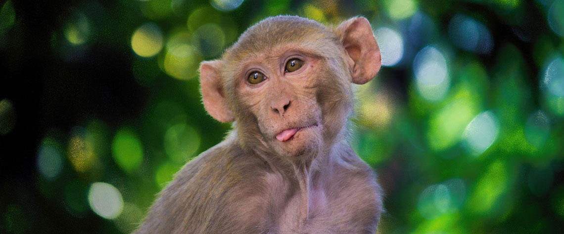 Cum să NU faci recrutare în marketing în 2019