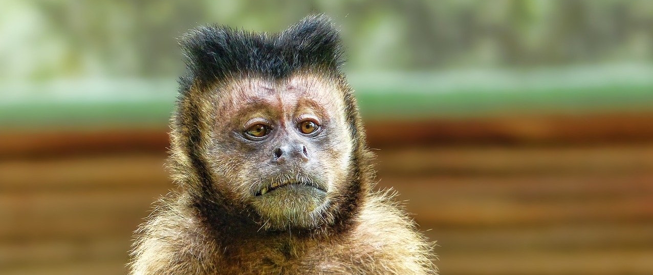 Cum arată recrutarea în content marketing după criză?