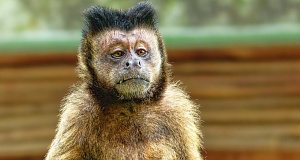 Cum arată recrutarea în content marketing după criză?